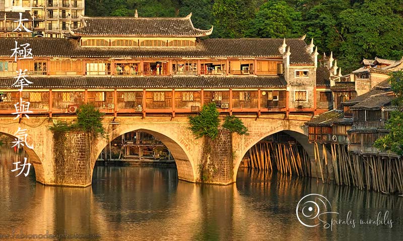 Spiralis Mirabilis - Rivista dedicata alle arti marziali cinesi e alla cultura tradizionale cinese con focus su Tai Chi QiGong e DaoYin