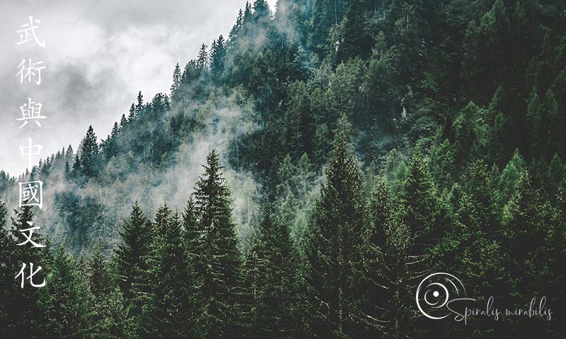 Pini - Spiralis Mirabilis Magazine - Arti marziali e cultura tradizionale cinese