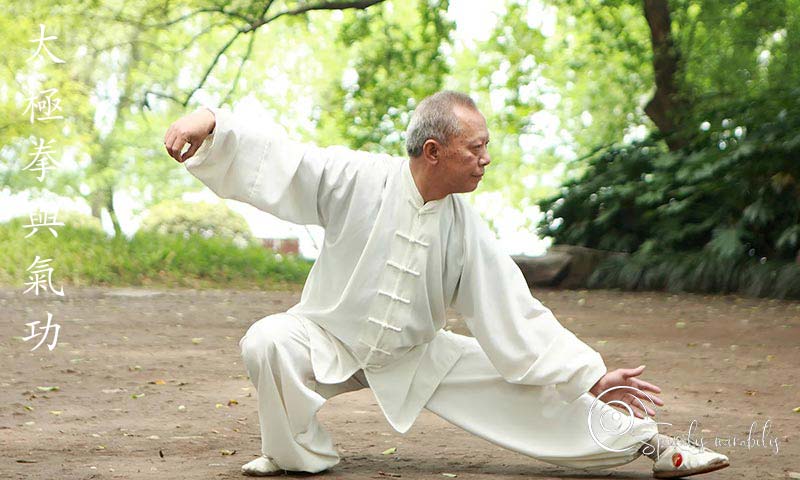 Spiralis Mirabilis - La rivista italiana dedicata al Taiji Quan, al Qi Gong e alle arti marziali cinesi